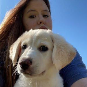 Meet your Posher, Lexie